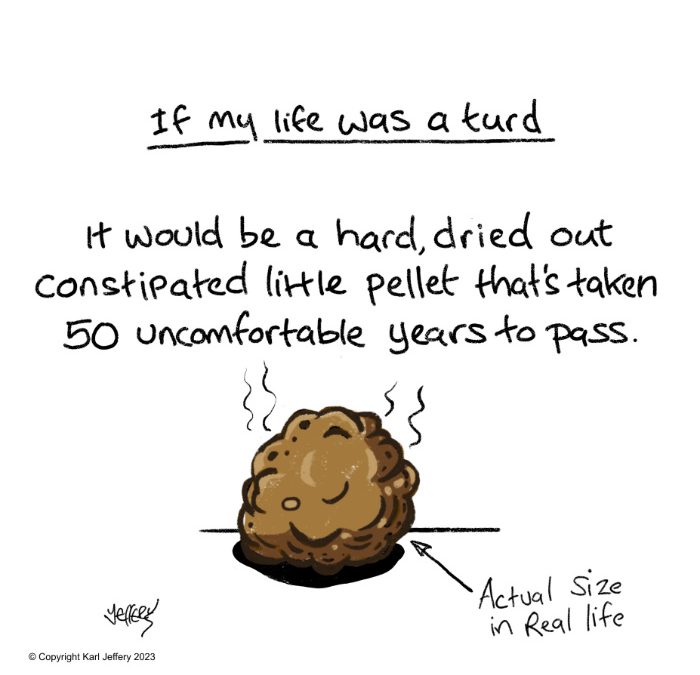 If my life was a Turd