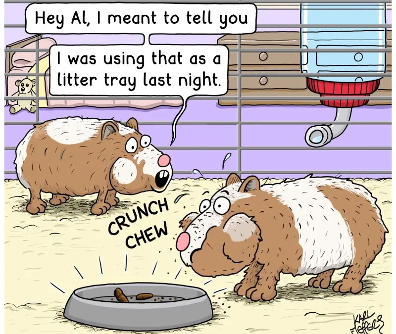 Don’t Eat That