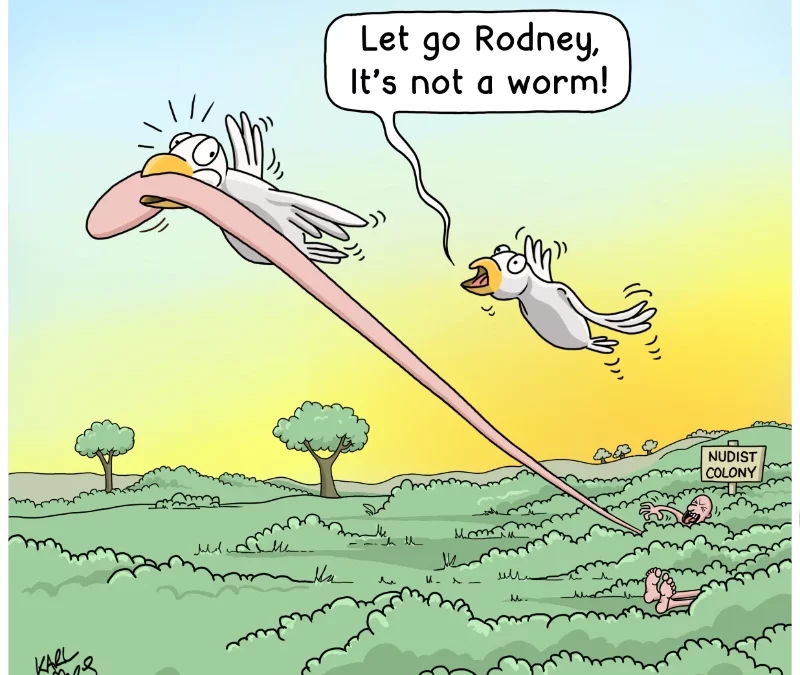 The Early Bird
